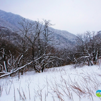 雪满秦岭  行走在迷人的雪景中
